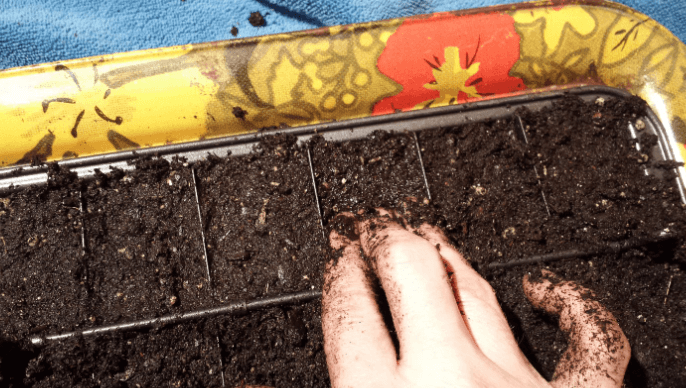 How to Choose the Right Soil Pans for Your Laboratory Needs