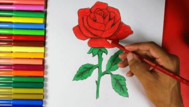 Easy:Kqdgebwb4ci= Simple:0ogcwv0bb_O= Rose Drawing