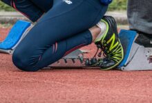 apex horizon start date 8664203448