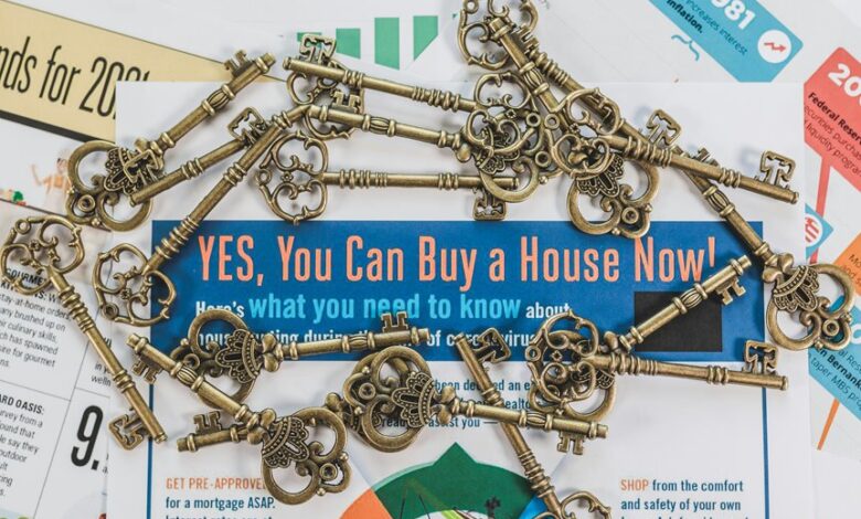 momentum driven market opportunities start