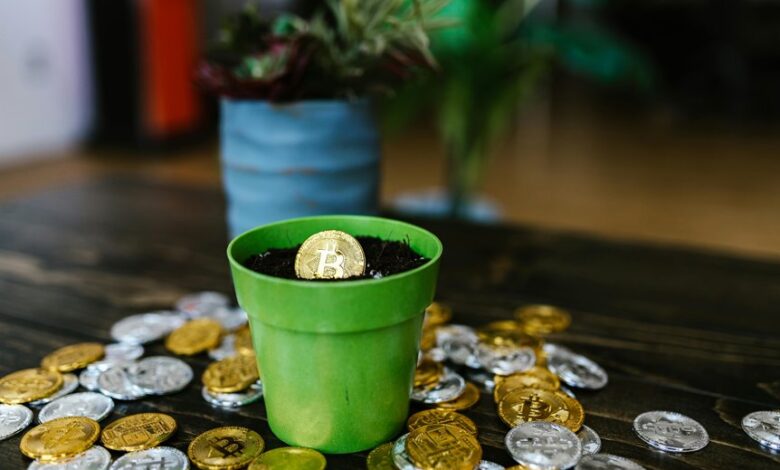 quantum drive start unlock market potential