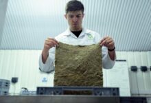 quantum flow start unlocking growth