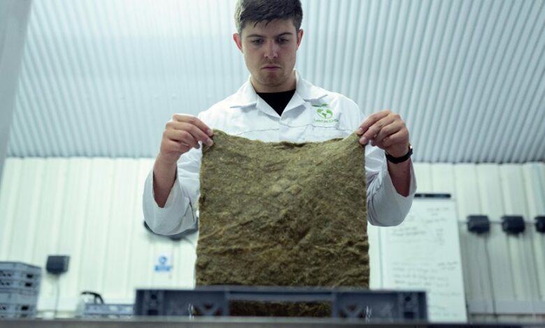 quantum flow start unlocking growth