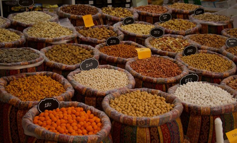 trailblazing horizon drives innovation