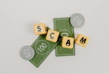 fraud alert portal details scam number insights