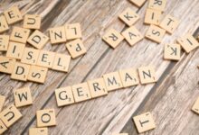 language keyword insight portal anamn s translating context