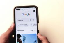 social profile insights guide reveal presence