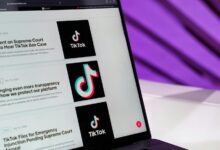 website content insight portal description punctuation