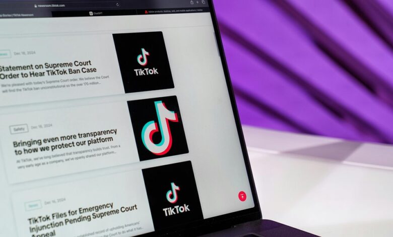 website content insight portal description punctuation
