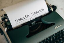 website domain insight guide