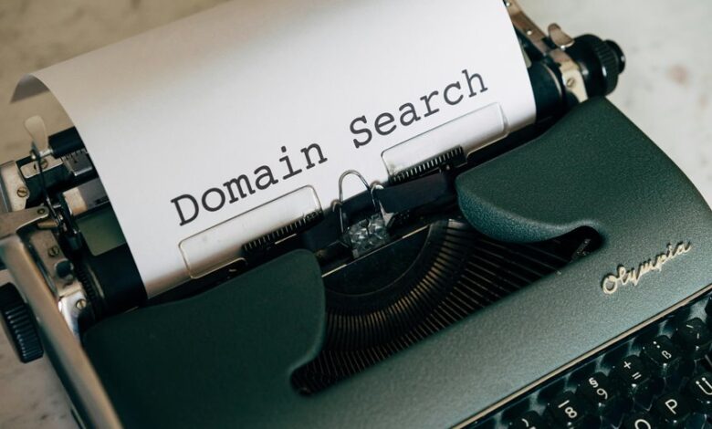 website domain insight guide