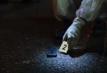 registry ids listed for evidence search