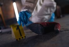 registry ids match evidence details