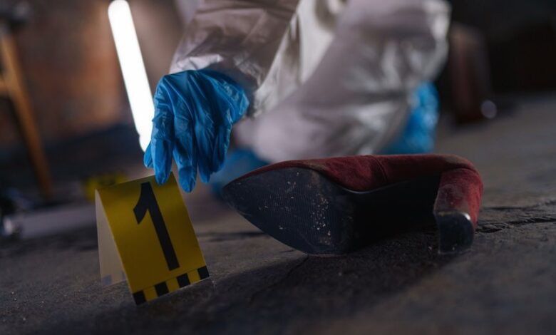 registry ids match evidence details