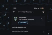 verified number profiles review 3511877481 3500661598 3512613240 3484313839 3896034857
